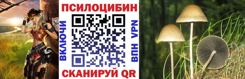даркнет сайт  ОМГ ОМГ зеркало  Галлюциногенные грибы Cubensis  Городец 