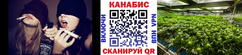 продажа наркотиков  Городец  Бошки Шишки White Widow 